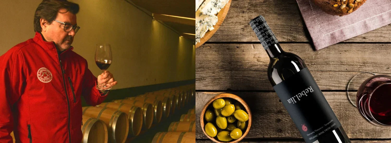 Mejores catas de vino en Requena