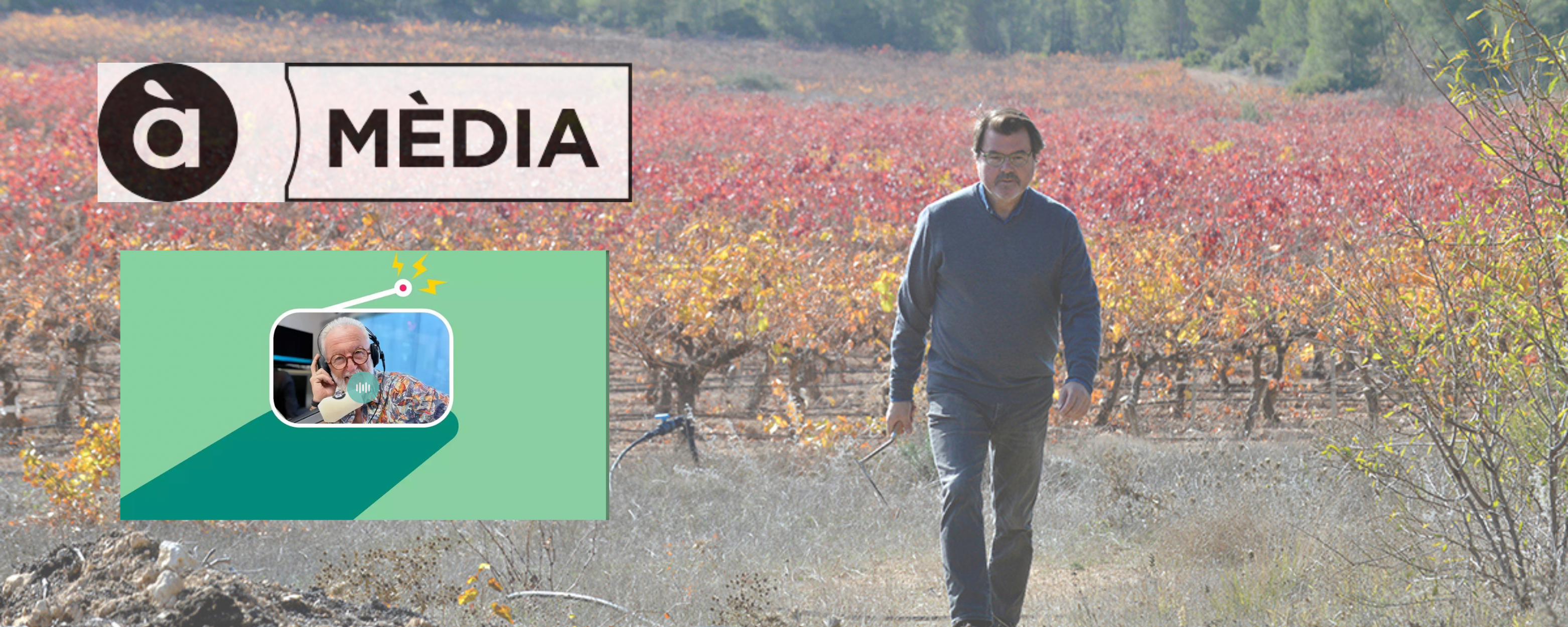 Rodolfo Valiente en entrevista de À Punt Media hablando de Bodegas Vegalfaro y vino en Valencia