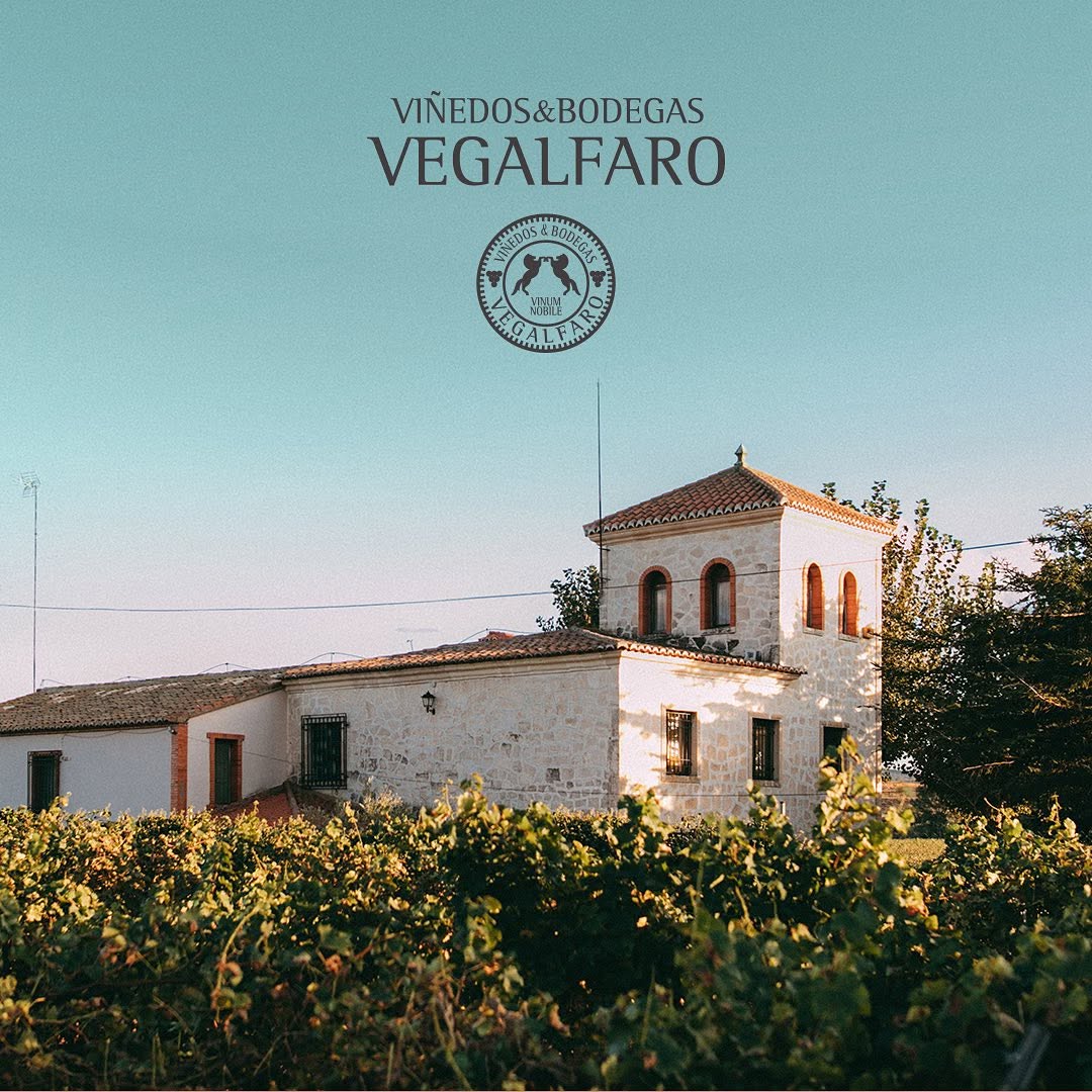 Bodegas de Requena en Vegalfaro