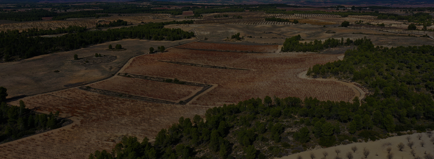 VINO CON ALMA. TIERRA CON PROPÓSITO.