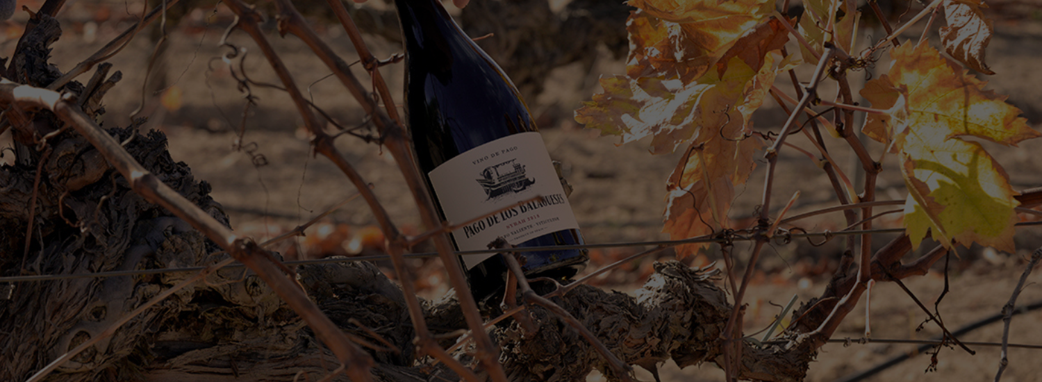 PAGO DE LOS BALAGUESES: ELEGANCIA CON DENOMINACIÓN PROPIA