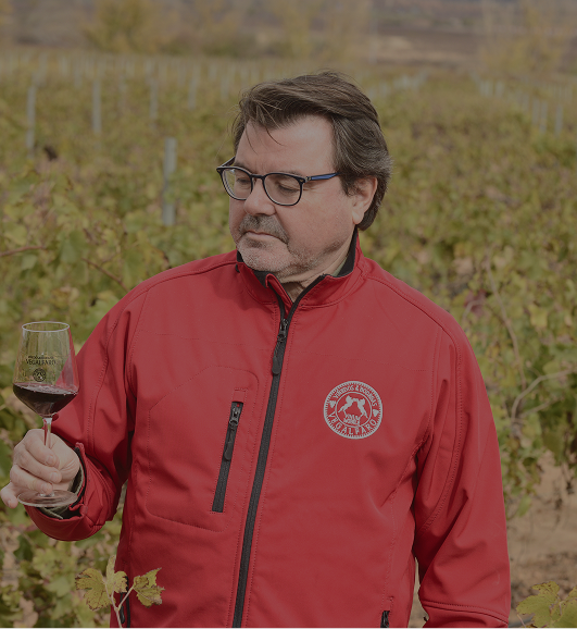 Viñedos de Bodegas Vegalfaro en Requena