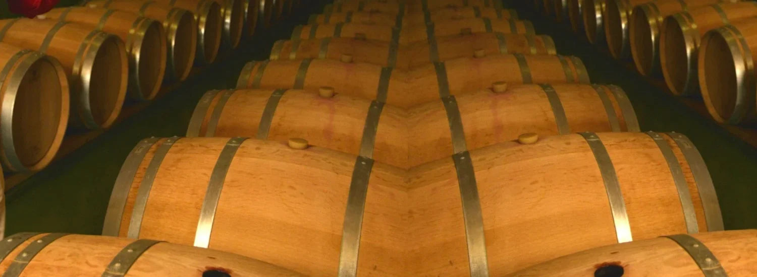 Las Mejores Experiencias de Enoturismo en Requena: Disfruta del Vino y la Naturaleza