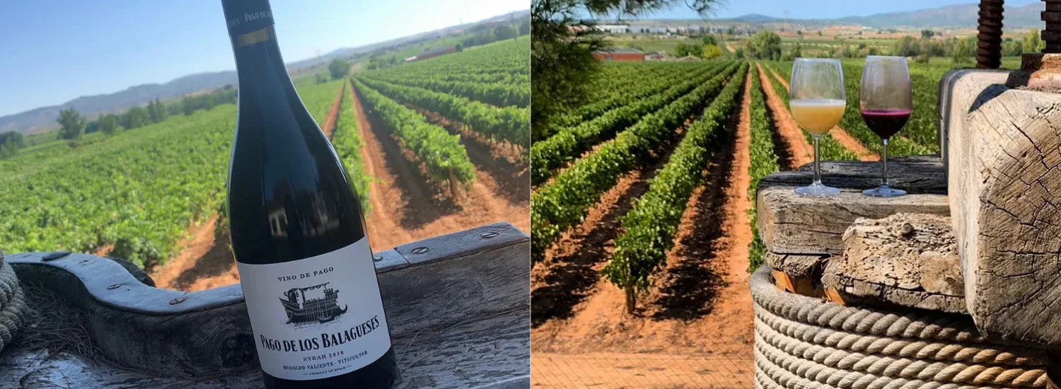 Cata de vinos Utiel Requena