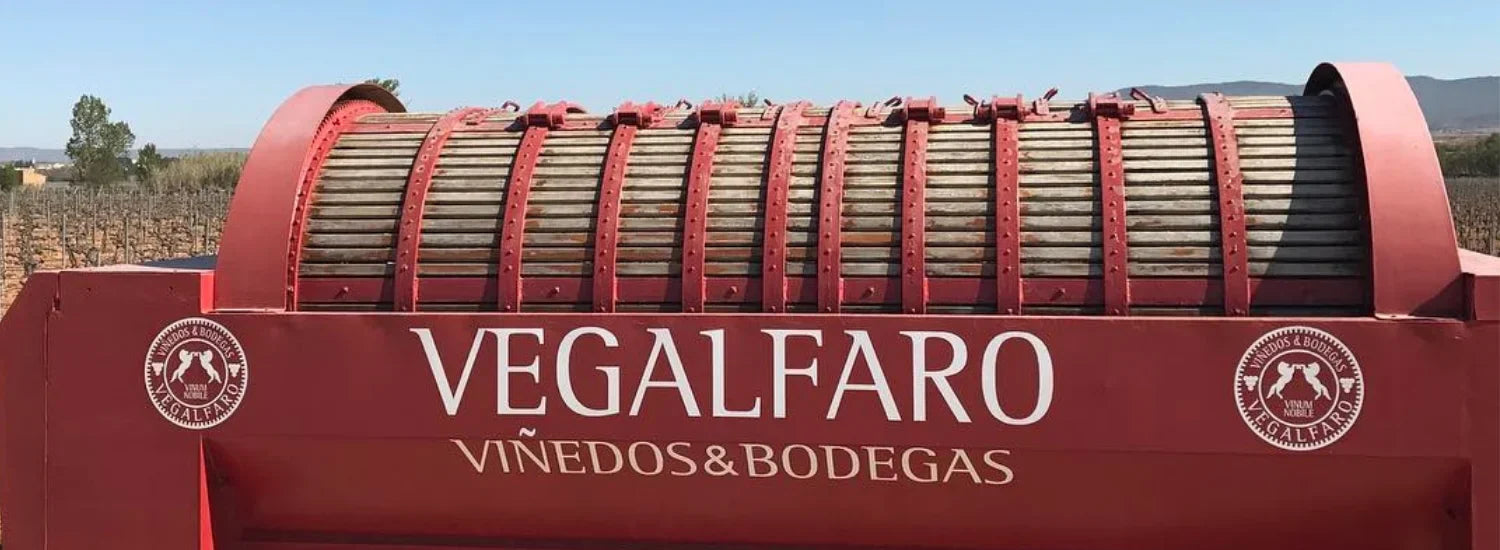 bodega vegalfaro
