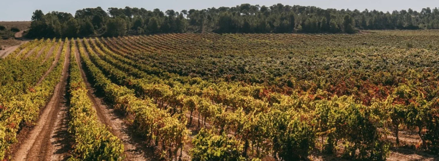 bodegas vegalfaro