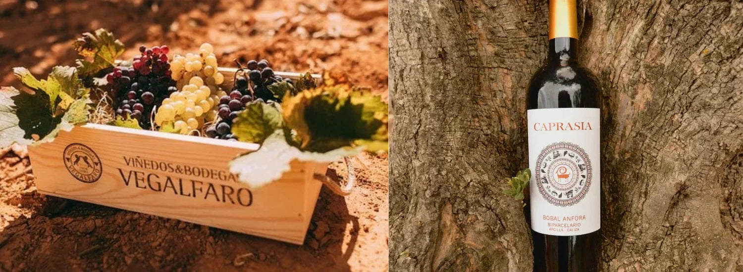caprasia cava reserva brut nature
