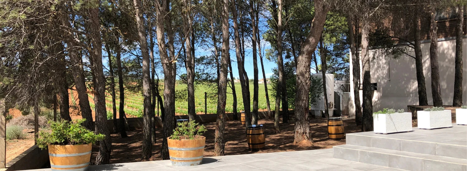 catas de vino en requena