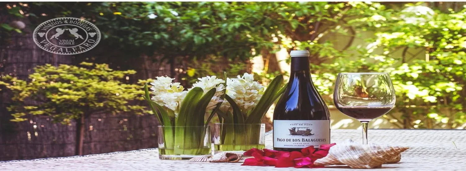 pago de los Balagueses syrah