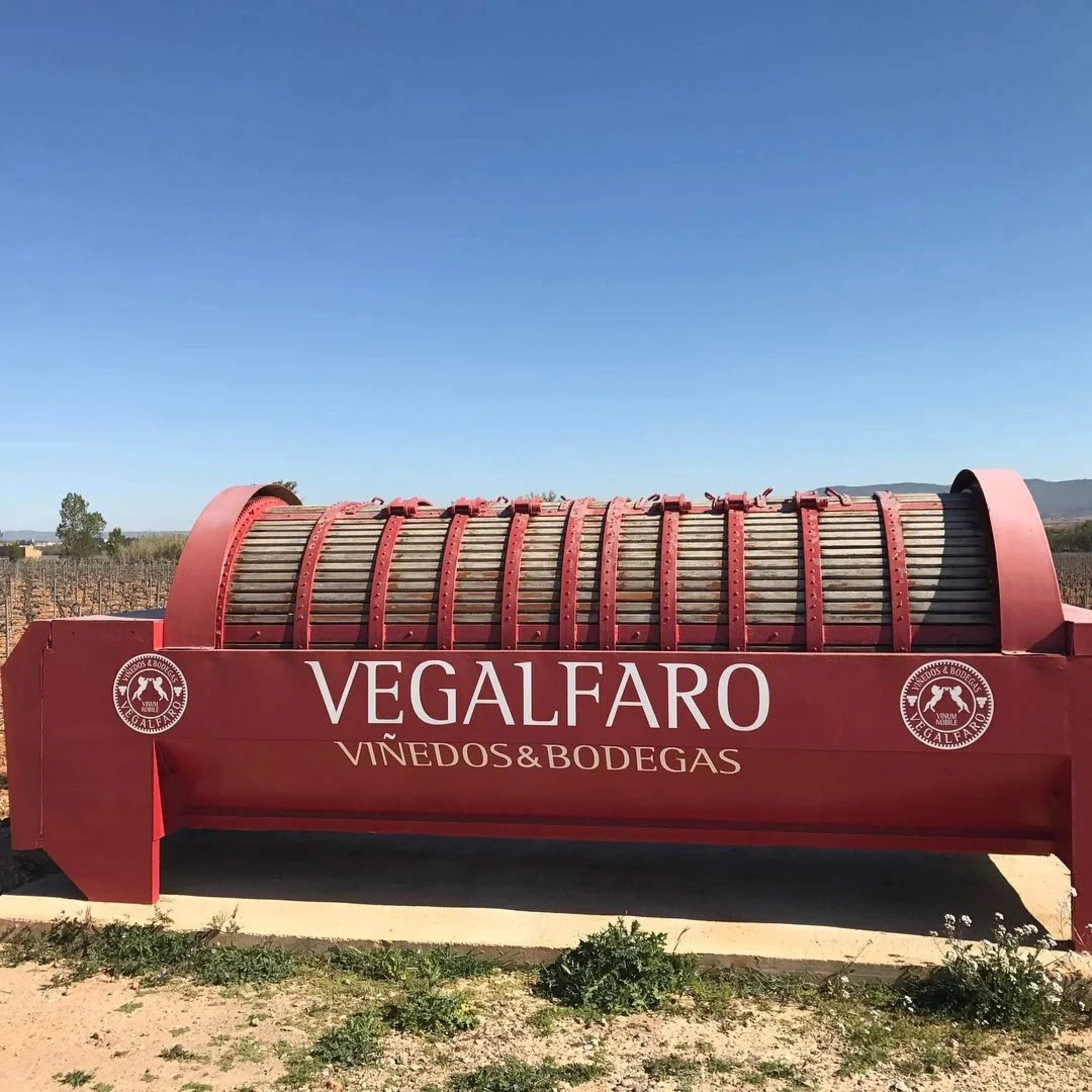 Por qué Requena es uno de los destinos de enoturismo más importantes de Valencia: descubre su encanto