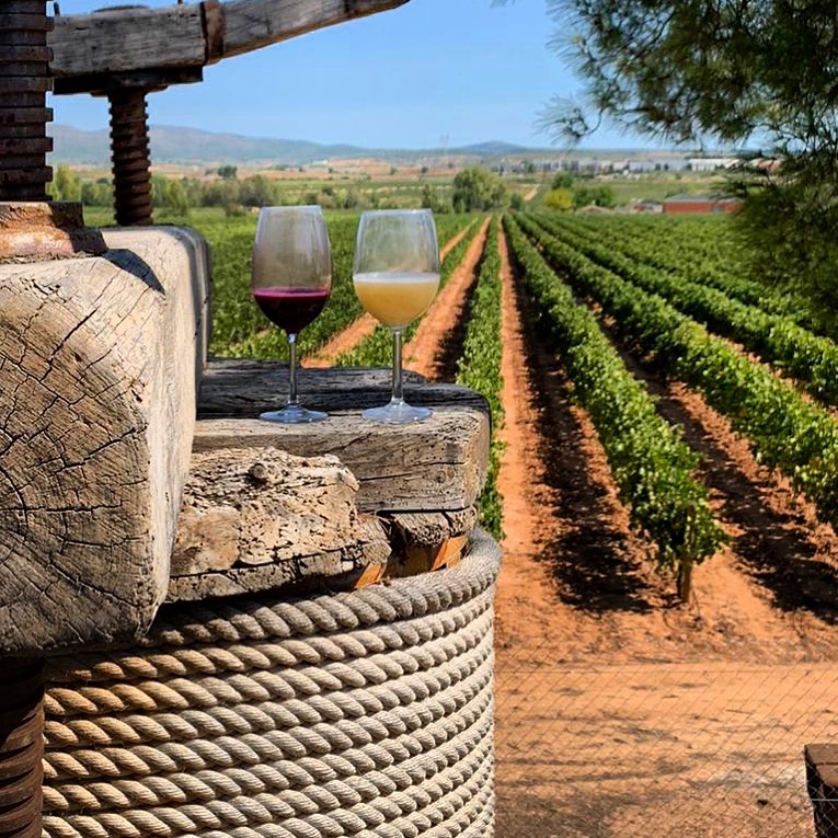 Enoturismo en Valencia: Descubre la Ruta del Vino Valenciana