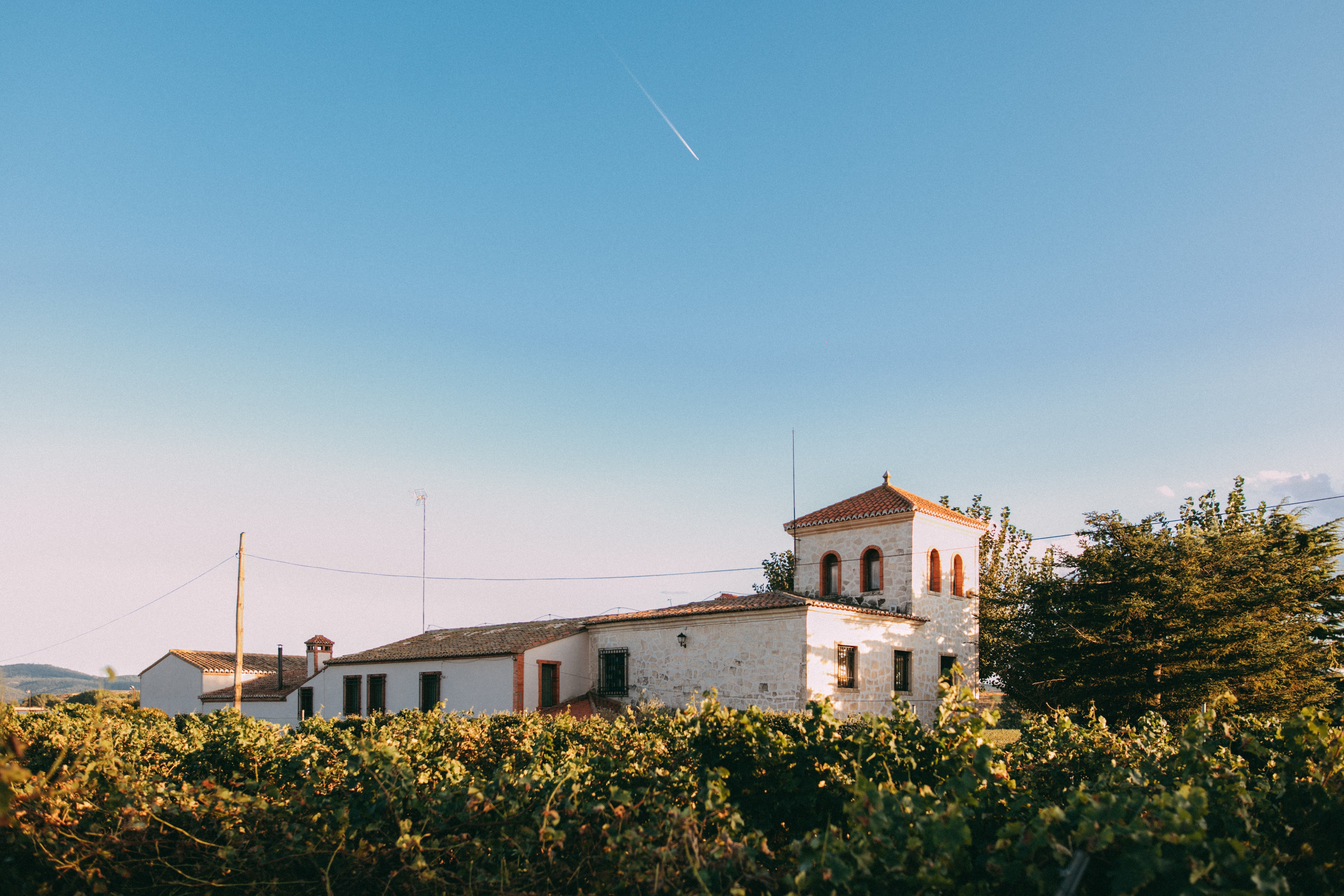 Bodegas Vegalfaro y viñedo del Pago de los Balagueses al atardecer en Requena