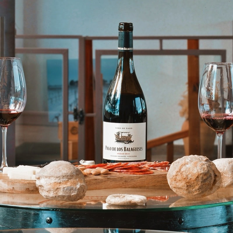 Cata de vinos en Bodegas Vegalfaro, a una hora de Valencia