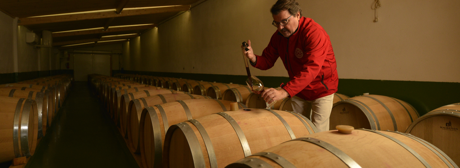 Vino en Valencia: tradición, sostenibilidad y sabor auténtico