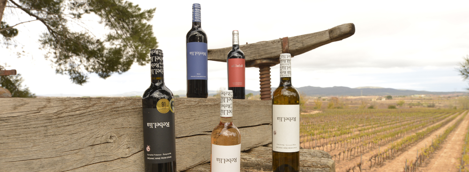 Bodegas Valencia: tradición, sostenibilidad y vinos premiados de Vegalfaro