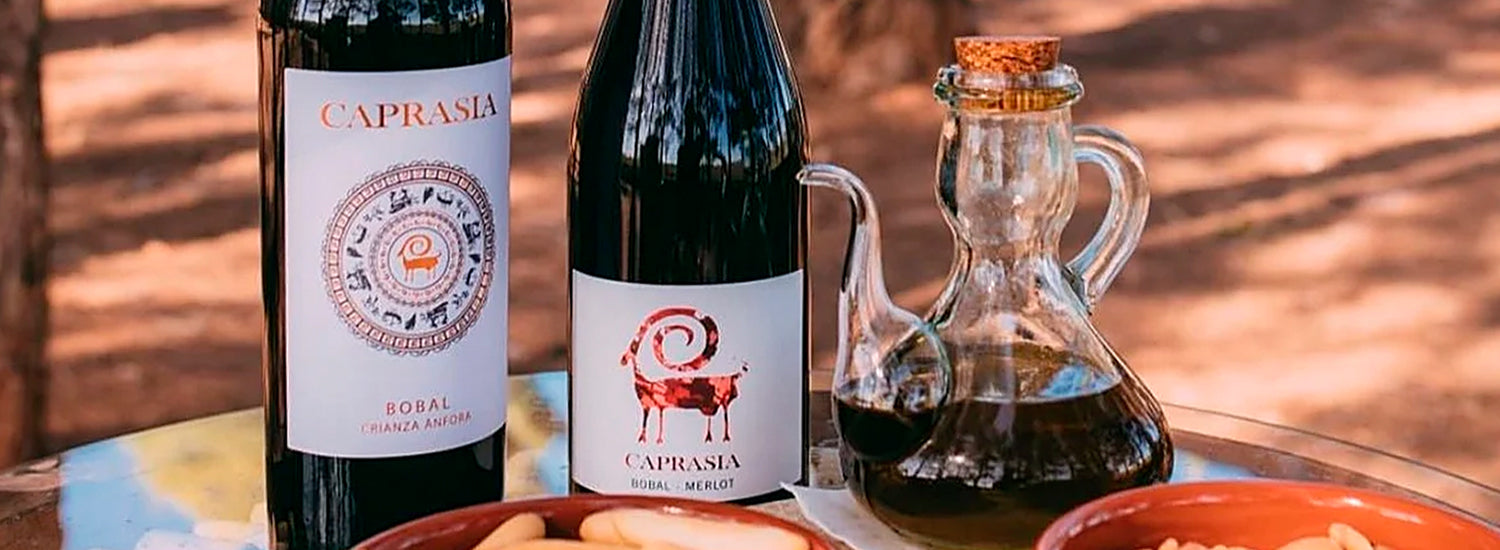 Bodegas Vegalfaro y Josué Vergara: vino y música en Las Provincias