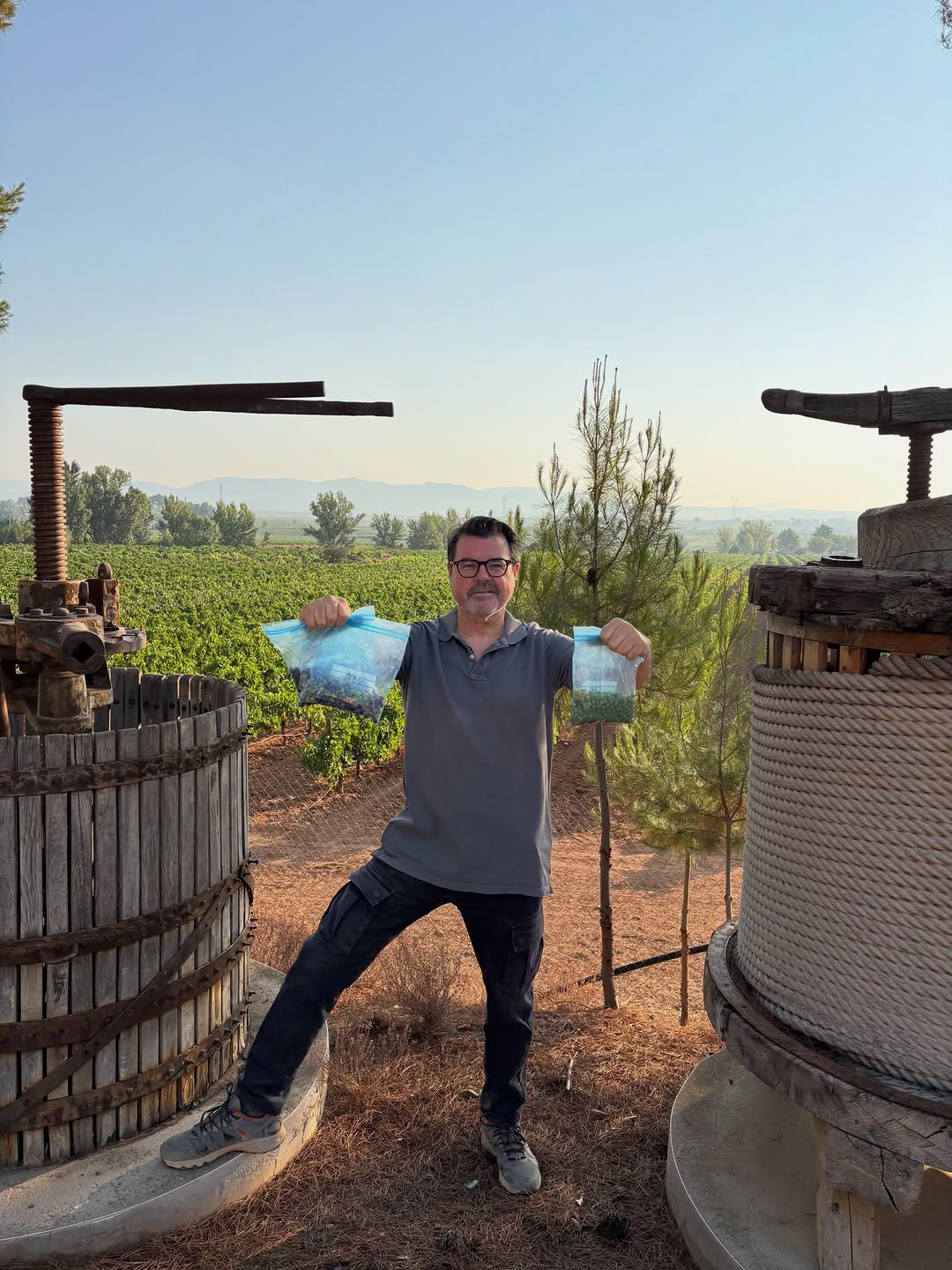 Rodolfo Valiente en la parcela con muestras de uva antes de la vendimia, Bodegas Vegalfaro