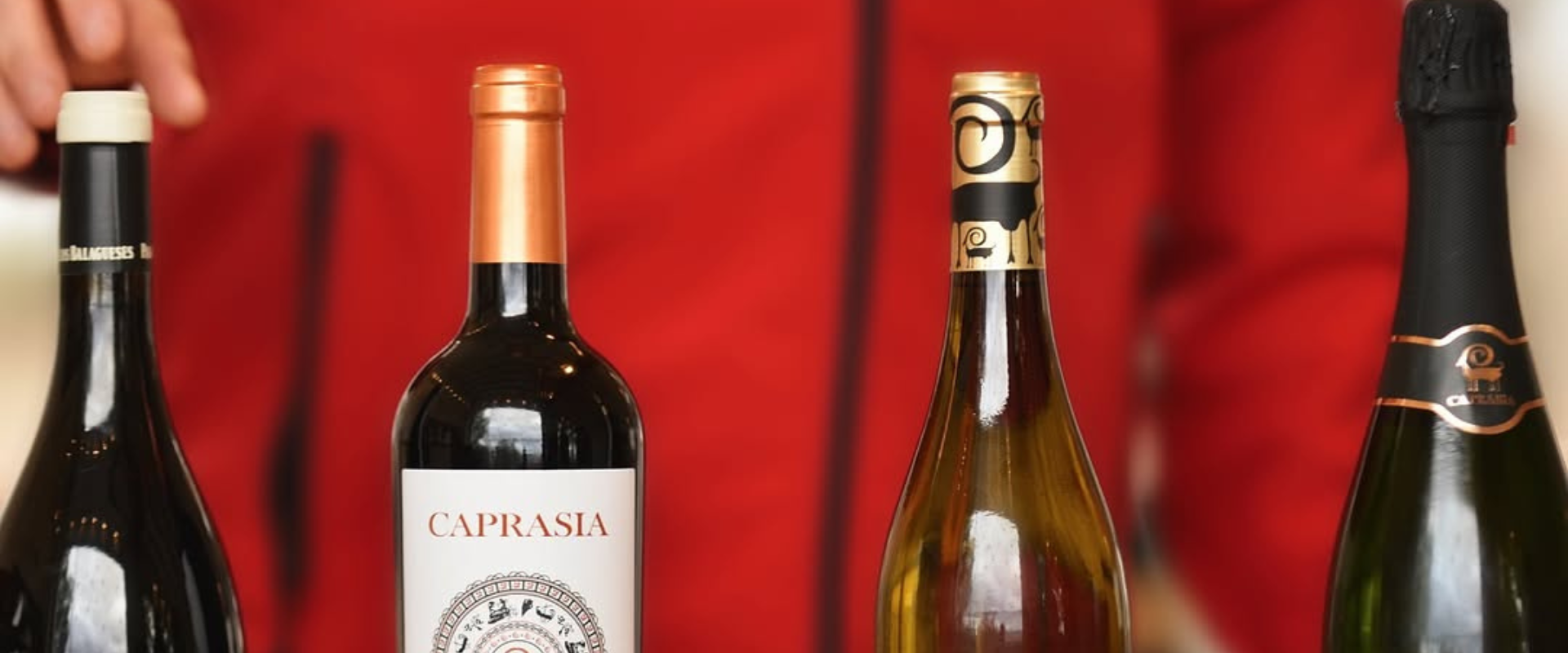 Descubre Nuestros Exquisitos Vinos de Pago