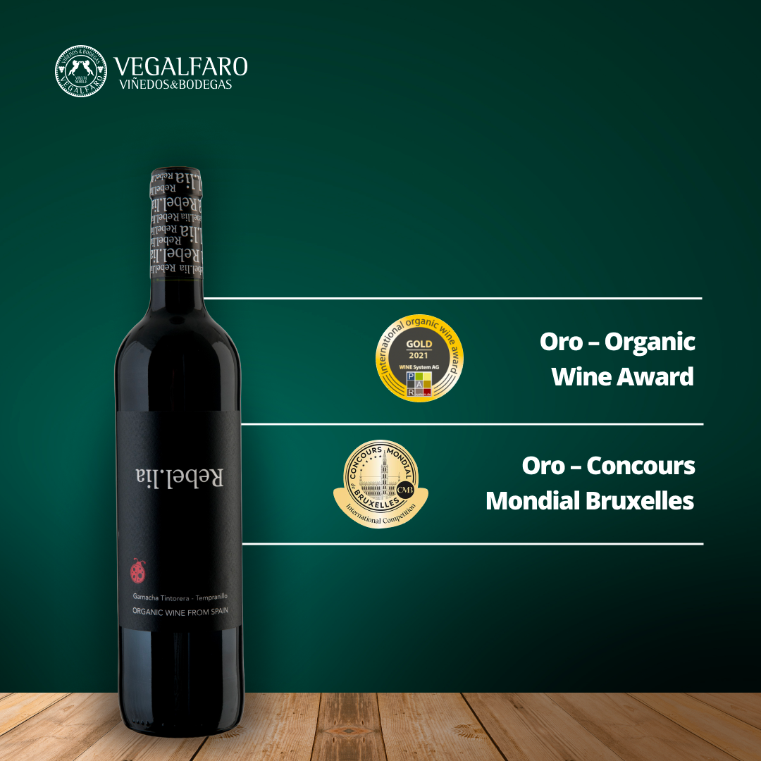 Rebel.lia Tinto 2024