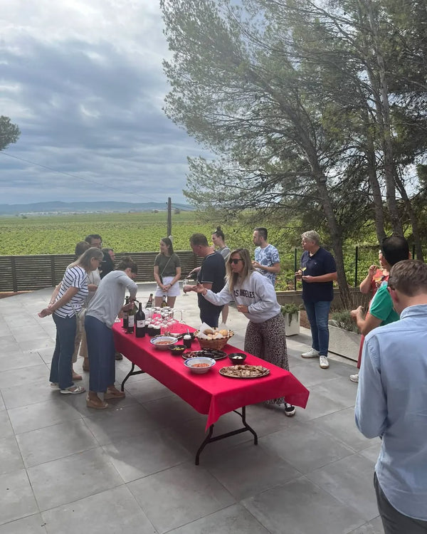 Bodegas Vegalfaro — enoturismo en Requena
