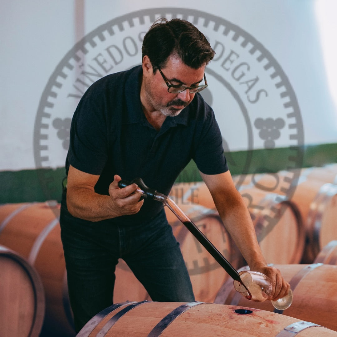 El Arte del Vino en Cada Detalle