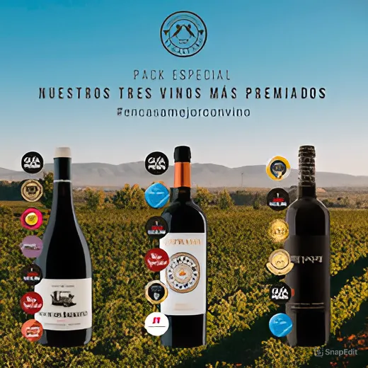 Prueba Nuestros Vinos Premiados